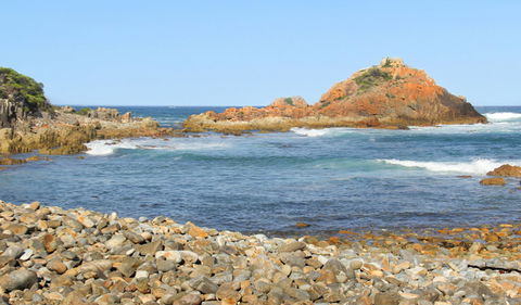 Mimosa Rocks Walking Track - Tourism Guide 3