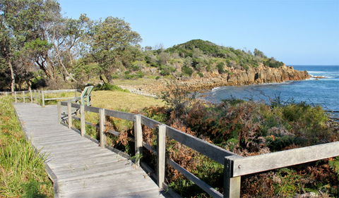 Mimosa Rocks Walking Track - Tourism Guide 0