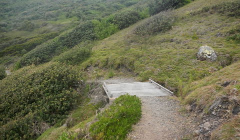 Connors Walking Track - Tourism Guide 2