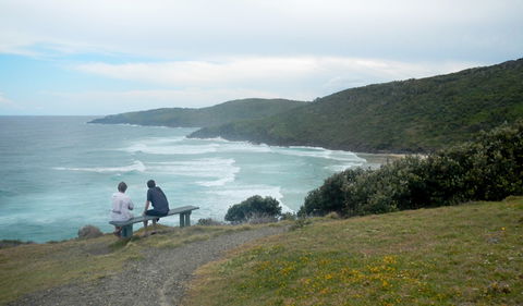 Connors Walking Track - Tourism Guide 3