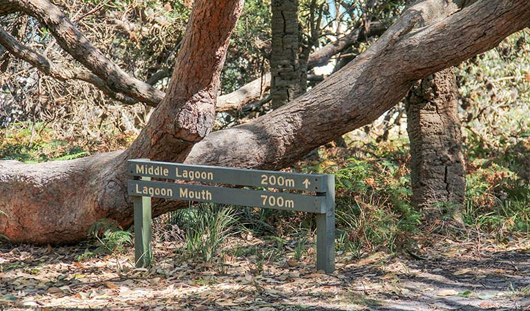 Rocky Hall NSW Tourism Guide