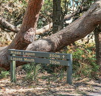 Middle Lagoon walking track - Tourism Guide