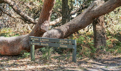 Middle Lagoon Walking Track - Tourism Guide 0