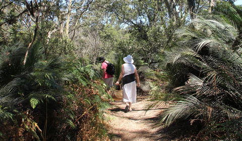 Nelson Lagoon - Tourism Guide 0