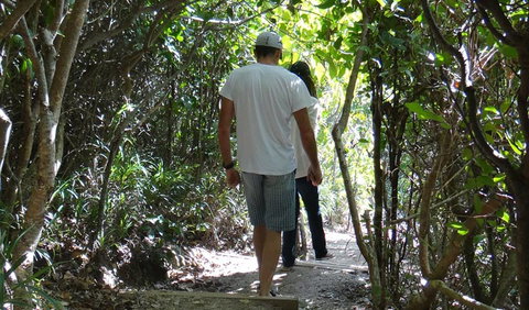 Three Sisters Walking Track - Travel Agents 0