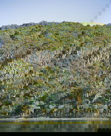 Ben Boyd National Park - Tourism Guide 5