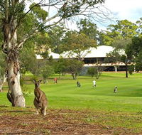 Pambula Merimbula Golf Club - Tourism Guide
