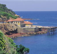 Merimbula Aquarium - Tourism Guide