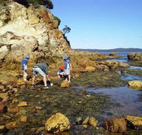Sapphire Coast Marine Discovery Centre - Travel Agents