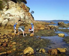 Sapphire Coast Marine Discovery Centre - Travel Agents 0