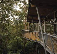 Tarkine Forest Adventures - Dismal Swamp - Tourism Guide