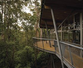 Tarkine Forest Adventures - Dismal Swamp - Cruises Travel 0