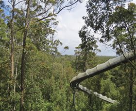 Tarkine Forest Adventures - Dismal Swamp - Cruises Travel 1