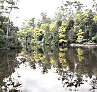 Arthur River - Tourism Guide