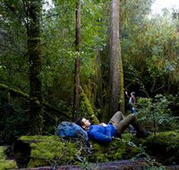 The Tarkine Drive - Tourism Guide