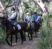 Mirravale Horse Riding School - Tourism Guide