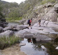 Nadgee Wilderness Walk - Travel Agents