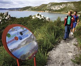 Rocky Cape TAS Tourism Guide