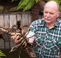 Lobster Ponds - Tourism Guide