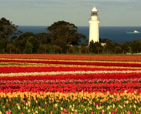 Table Cape - Cruises Travel 5