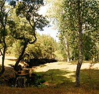 Oldina Picnic Area - Tourism Guide
