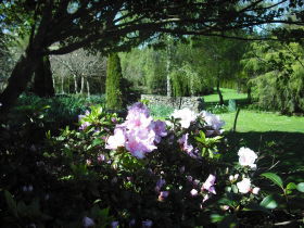 Annsleigh Gardens And Cafe - Tourism Guide 3