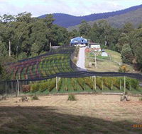 Motton Terraces - Tourism Guide