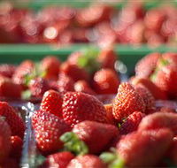 Turners Beach Berry Patch - Tourism Guide