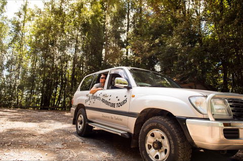 Tall Timbers Adventure Tours - Cruises Travel 8