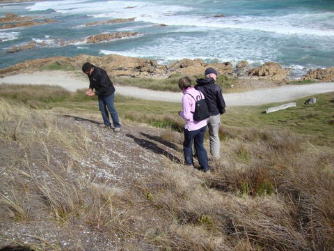 Tall Timbers Adventure Tours - Cruises Travel 12