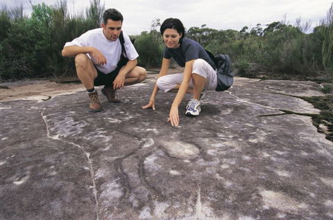 Sydney Coast Walks - Tourism Guide 3