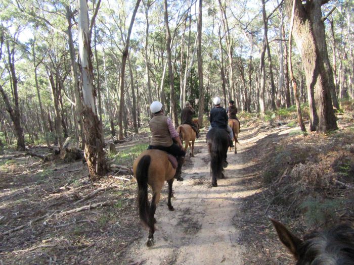 Spring Hill VIC Tourism Guide