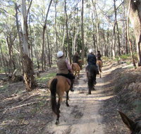 Silver Brumby Trails - Tourism Guide