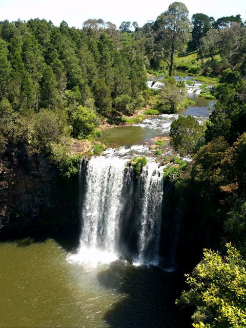 A1 Coffs Coast Tours - Tourism Guide 6