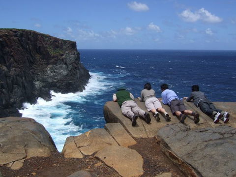 Out Of Sight Tours - Cruises Travel 0