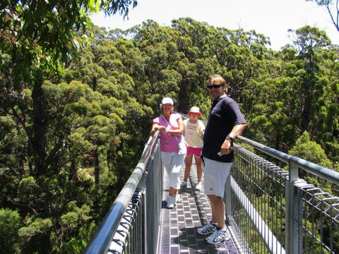 Out Of Sight Tours - Cruises Travel 15