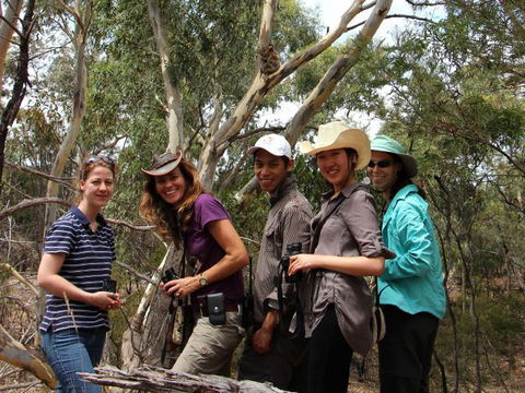 Echidna Walkabout Nature Tours - Tourism Guide 1