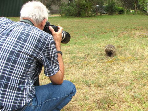 Echidna Walkabout Nature Tours - Tourism Guide 9