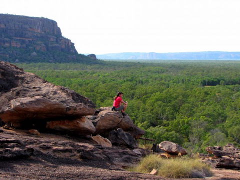 Echidna Walkabout Nature Tours - Tourism Guide 21