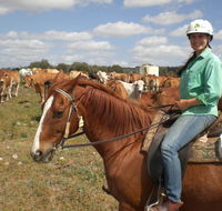 Myella Farm Stay Tours - Tourism Guide