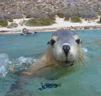 Calypso Star Charters - Tourism Guide
