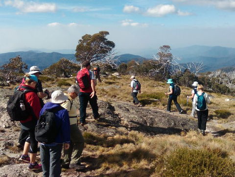 Hedonistic Hiking - Tourism Guide 0