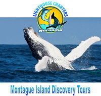 Lighthouse Charters Narooma - Tourism Guide