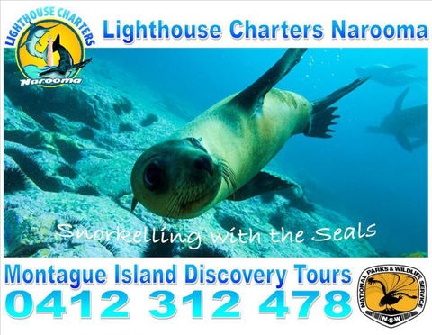 Lighthouse Charters Narooma - Tourism Guide 11