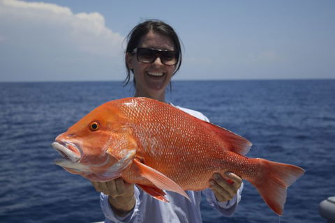 Absolute Ocean Charters - Cruises Travel 3
