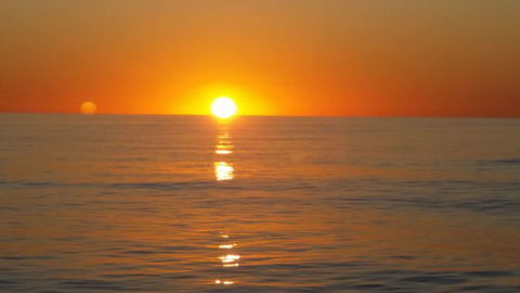 Absolute Ocean Charters - Cruises Travel 16