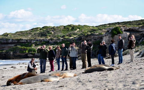 Kangaroo Island Odysseys - Tourism Guide 26
