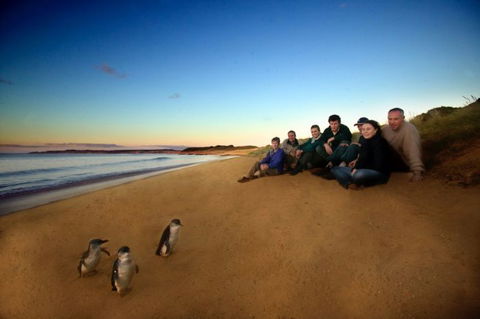 Melbourne Coastal Touring - Tourism Guide 3