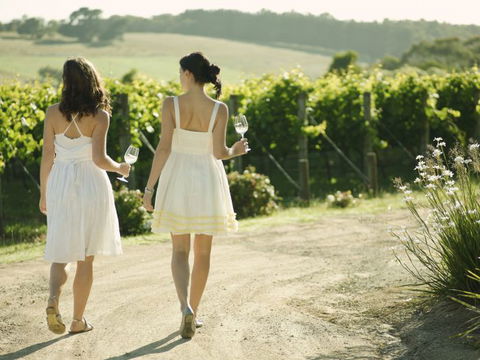Melbourne Coastal Touring - Tourism Guide 4