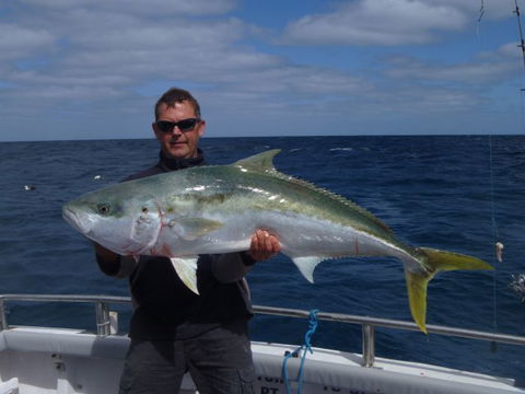 Reef Encounters Fishing Charters. - Tourism Guide 12